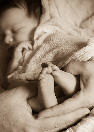 Newborn Baby Portraits Eternal Stories-1067
