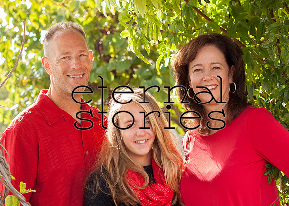 Family Portraits Eternal Stories-3590