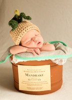 Newborn Baby Portraits Eternal Stories-1012