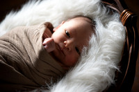 Theodore Lloyd Newborn-9043