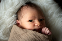Theodore Lloyd Newborn-9046