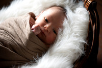 Theodore Lloyd Newborn-9044