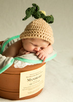 Newborn Baby Portraits Eternal Stories-1001