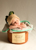 Newborn Baby Portraits Eternal Stories-1008