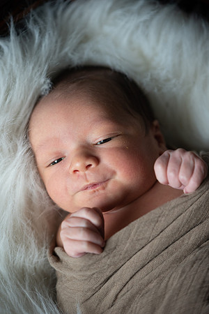 Theodore Lloyd Newborn-9035