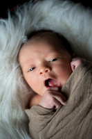 Theodore Lloyd Newborn-9036