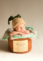 Newborn Baby Portraits Eternal Stories-1006