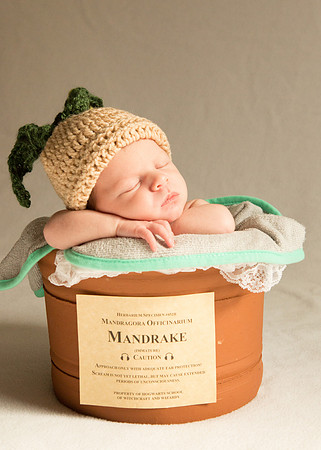 Newborn Baby Portraits Eternal Stories-1010
