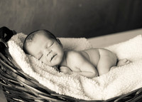 Newborn Portraits Eternal Stories-1014
