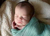 Newborn Portraits Eternal Stories-1024