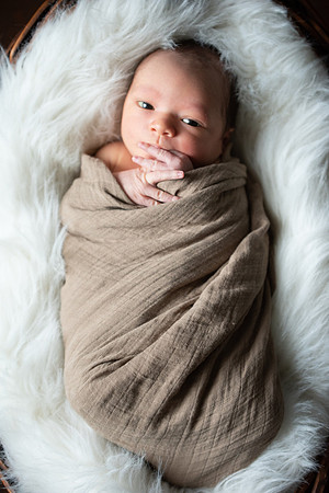 Theodore Lloyd Newborn-9039