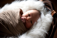 Theodore Lloyd Newborn-9042