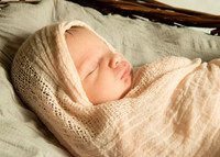 Newborn Baby Portraits Eternal Stories-1013