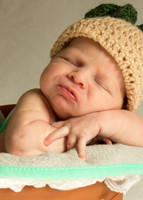 Newborn Baby Portraits Eternal Stories-1002