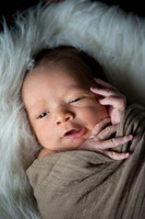 Theodore Lloyd Newborn-9034
