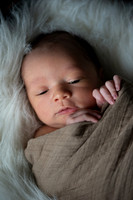 Theodore Lloyd Newborn-9032