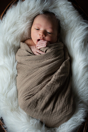 Theodore Lloyd Newborn-9040