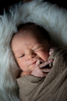 Theodore Lloyd Newborn-9037
