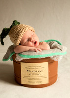 Newborn Baby Portraits Eternal Stories-1005