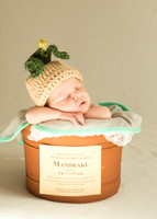 Newborn Baby Portraits Eternal Stories-1011
