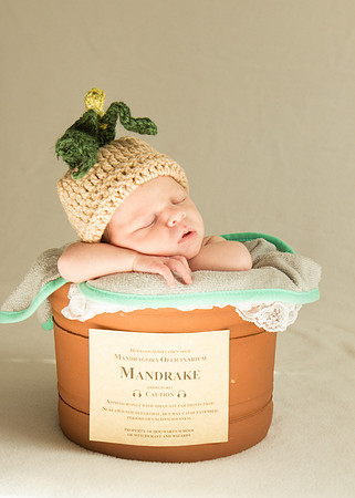 Newborn Baby Portraits Eternal Stories-1011