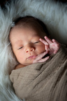Theodore Lloyd Newborn-9033