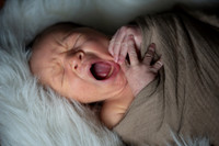 Theodore Lloyd Newborn-9038