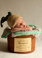 Newborn Baby Portraits Eternal Stories-1004