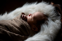 Theodore Lloyd Newborn-9029