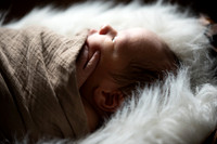 Theodore Lloyd Newborn-9047