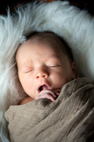 Theodore Lloyd Newborn-9031