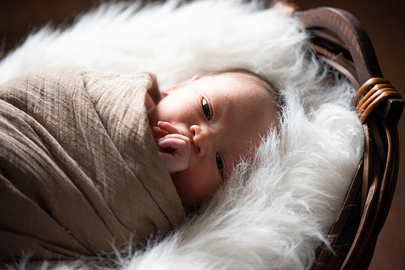 Theodore Lloyd Newborn-9041