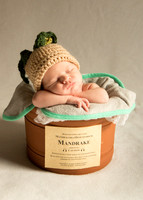 Newborn Baby Portraits Eternal Stories-1007