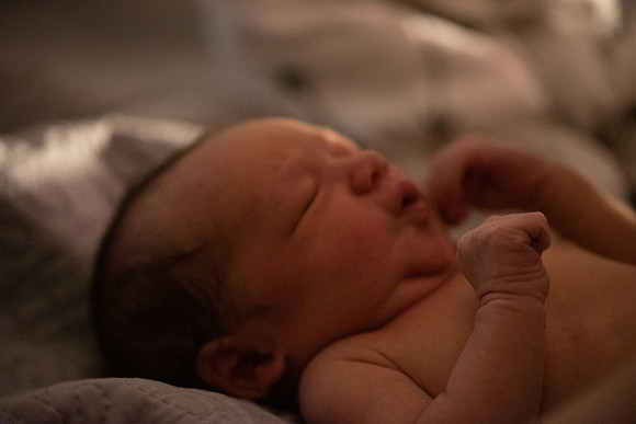 Theodore Lloyd Newborn-9014