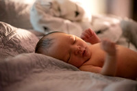 Theodore Lloyd Newborn-9018