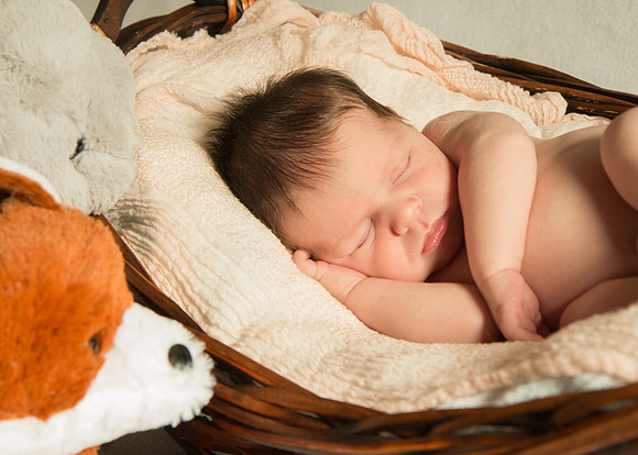 Newborn Baby Portraits Eternal Stories-1058