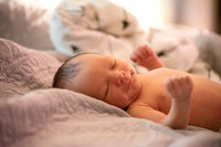 Theodore Lloyd Newborn-9019