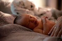Theodore Lloyd Newborn-9017