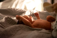 Theodore Lloyd Newborn-9011