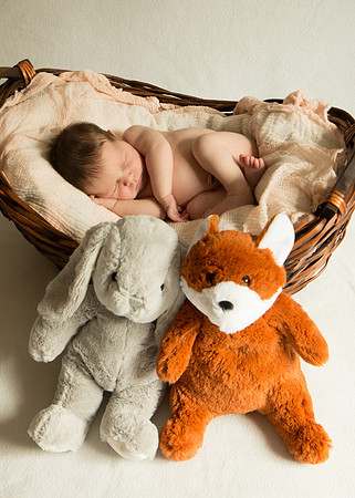 Newborn Baby Portraits Eternal Stories-1055