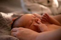 Theodore Lloyd Newborn-9015