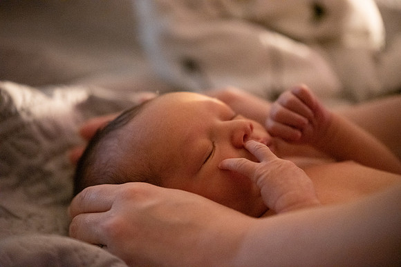 Theodore Lloyd Newborn-9015