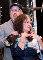 BOWEN WEDDING-6569