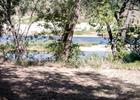 BOWEN WEDDING-5079